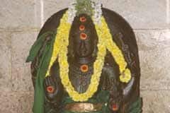 Arulmigu BhDhdharanyesvarar Thirukoyil photo 8