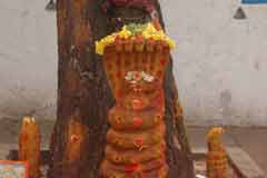 Arulmigu Iravisvarar Thirukoyil photo 6