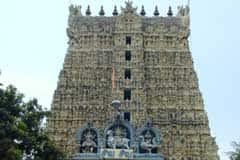 Arulmigu Dhanumalaya Thirukoyil photo 2