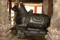 Arulmigu BhRiya Avudhaiyar Thirukoyil photo 3