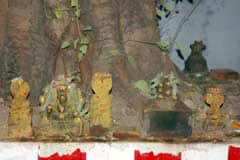 Arulmigu DhDhiruvalavaya Swamy Thirukoyil photo 4