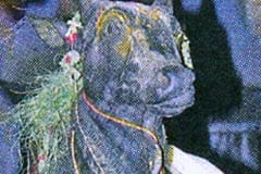 Arulmigu DhDhiruvalavaya Swamy Thirukoyil photo 5