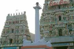 Arulmigu Arudhraghabhalisvarar Thirukoyil photo 2