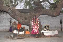 Arulmigu Arudhraghabhalisvarar Thirukoyil photo 7
