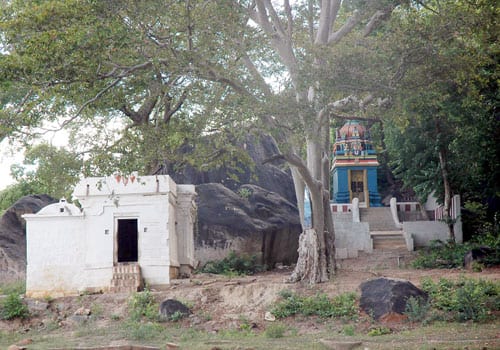 Arulmigu JGha Narayanabh Perumal Thirukoyil
