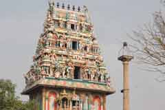 Arulmigu Adhinarayana Perumal Temple photo 7