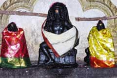 Arulmigu Kailasanathar Thirukoyil photo 4