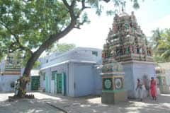Arulmigu Sri Kottai Mariyamman Temple photo 6