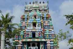 Arulmigu Sri Kottai Mariyamman Temple photo 8