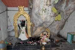 Arulmigu Jhundharamaghalingha Swamy Thirukoyil photo 5