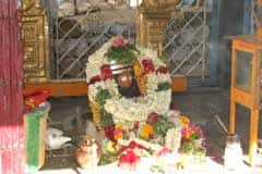 Arulmigu Jhundharamaghalingha Swamy Thirukoyil photo 6