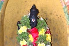 Arulmigu Ghurunadhajhami Thirukoyil photo 6