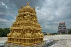Arulmigu Varadaraja Perumal Thirukoyil photo 6