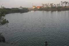 Arulmigu DhirumeIyazhaghar Thirukoyil photo 8