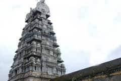 Arulmigu Bhuloghanadhar Thirukoyil photo 7