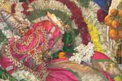 Arulmigu Dhandhi Mariamman Thirukoyil photo 2