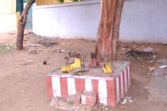 Arulmigu Manghala Anjhaneyar Thirukoyil photo 8
