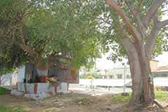 Arulmigu Karuppannasamy Temple photo 5