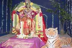Arulmigu BhRiya Mariamman Thirukoyil photo 3