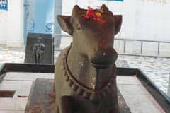 Arulmigu Jhadhdhisvarar photo 2
