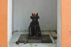 Arulmigu Jhadhdhisvarar photo 3