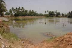 Arulmigu Amirdhaghadhesvarar Thirukoyil photo 8